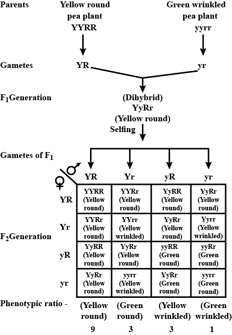 solution