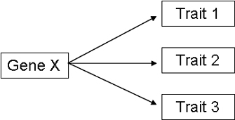 solution