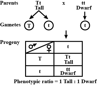 solution