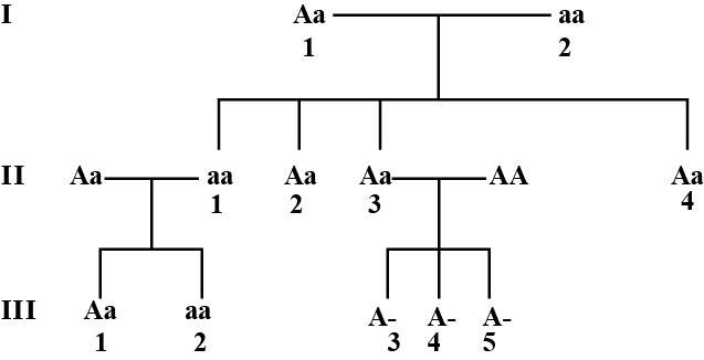 solution