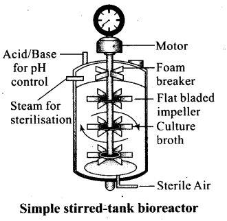 Draw neat labelled diagram of simple stirred tank bioreactor.