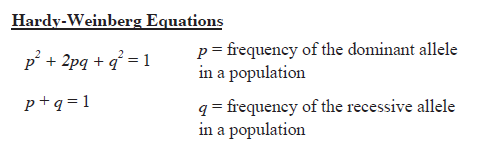 solution