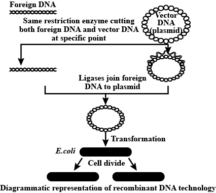 solution