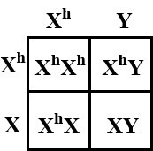 solution